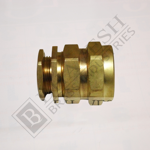 Brass Pipe Fittings 1